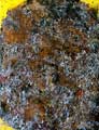 DSC04565.jpg